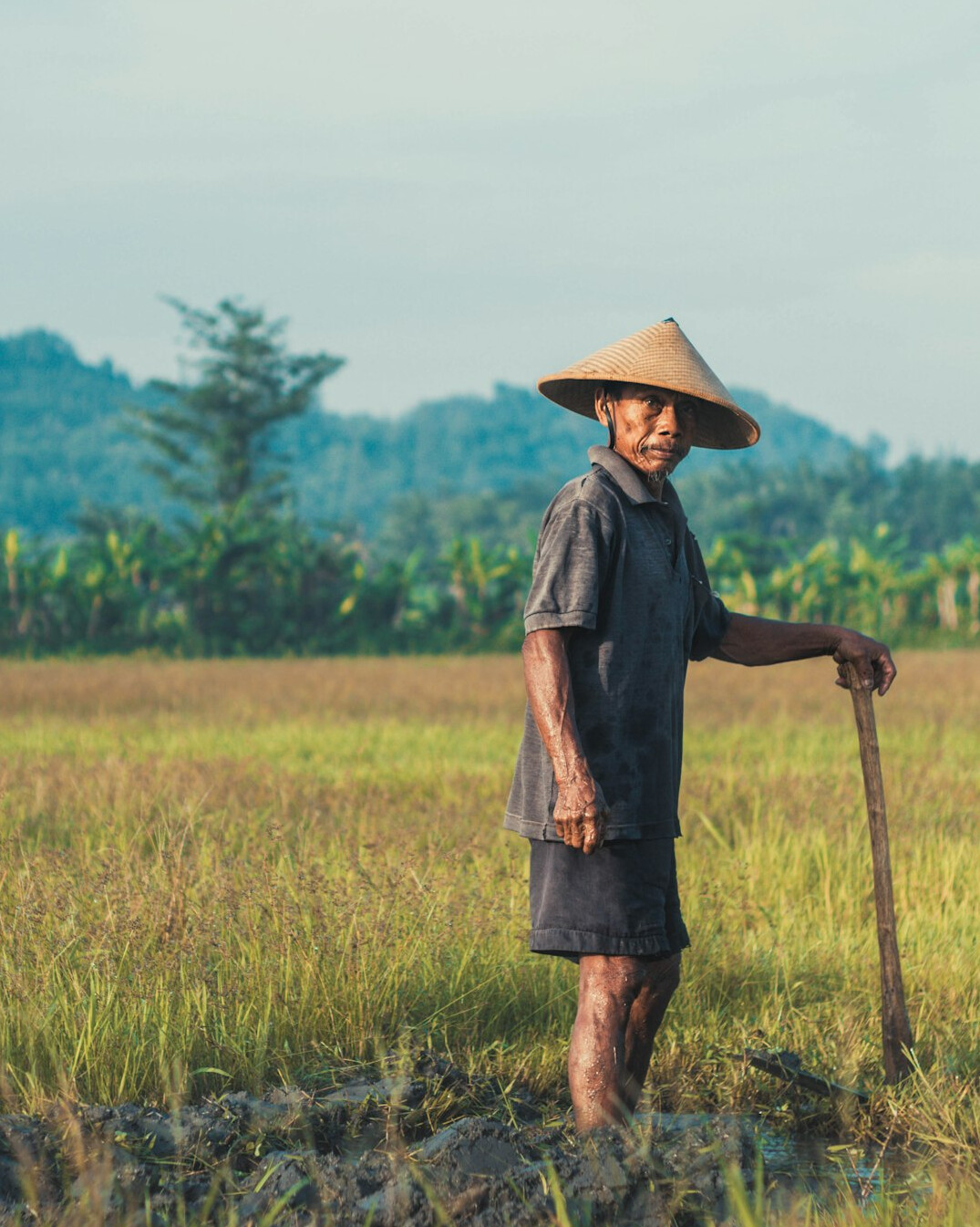 farmer in field